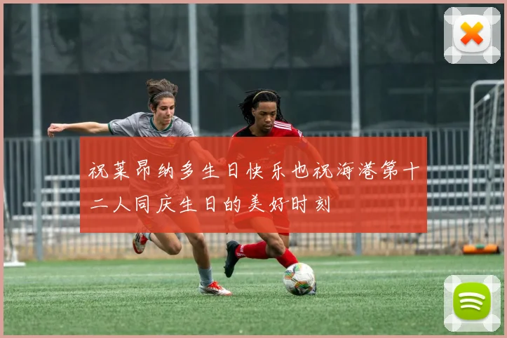 祝莱昂纳多生日快乐也祝海港第十二人同庆生日的美好时刻